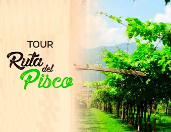 Ruta del Pisco
